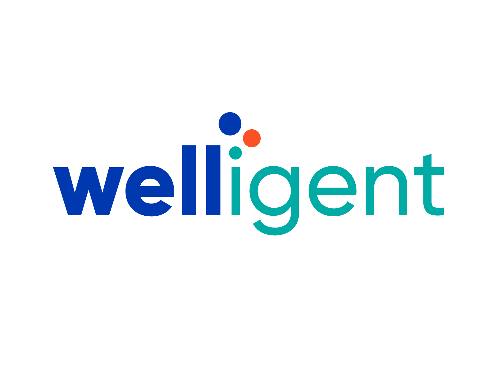 welligent_1600x1200